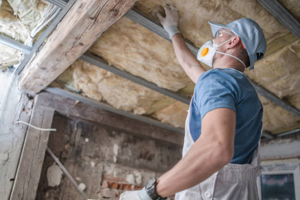 Best DIY Insulation Kits and Guidance in Topton, PA
