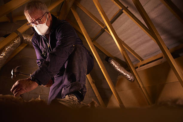 Best Geographic-Specific Insulation Services in Topton, PA